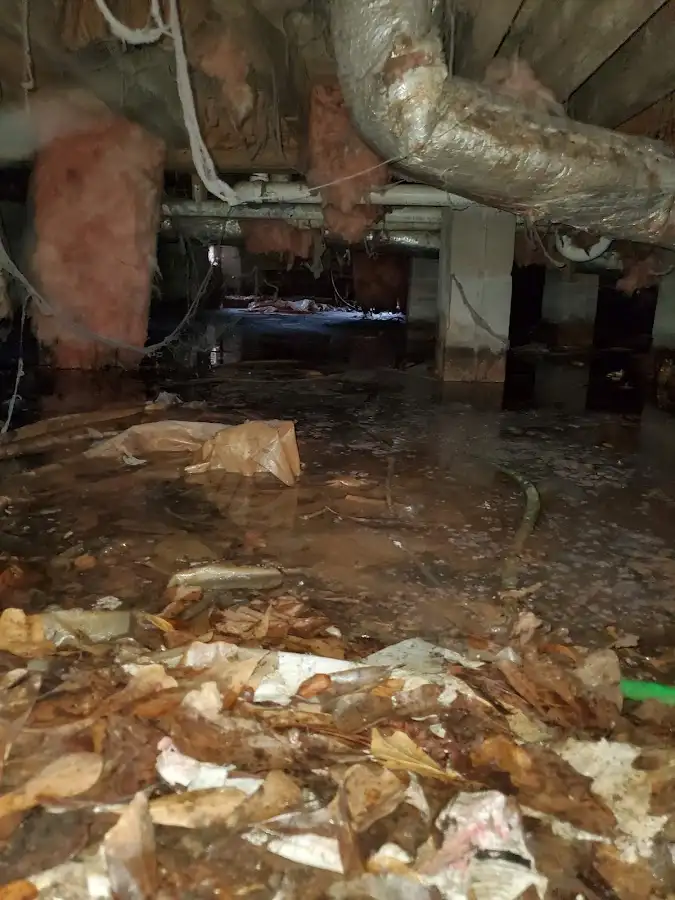 Crawl space flood assessment for Leak Detection & Repair in White Lake